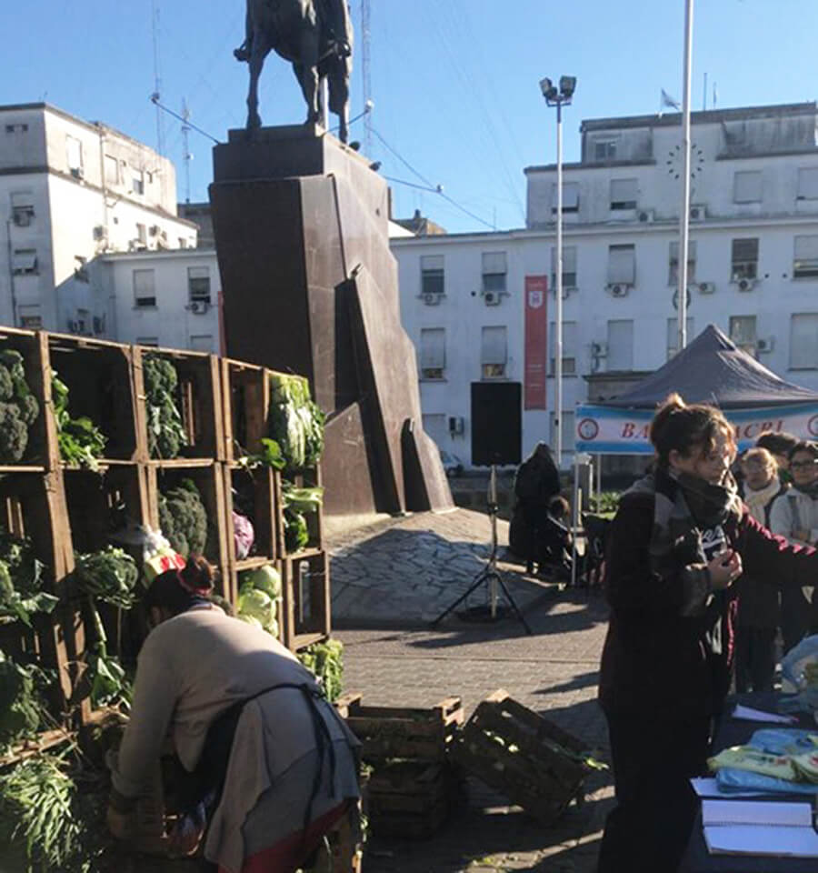 Morón Hoy: Verdurazo