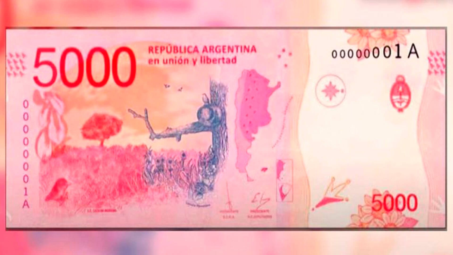 Billetes de $5000 Billetes de $5000