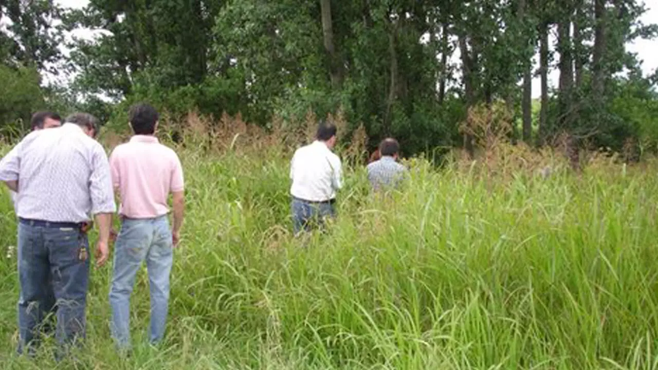 estado-bonaerense-y-luis-pomar