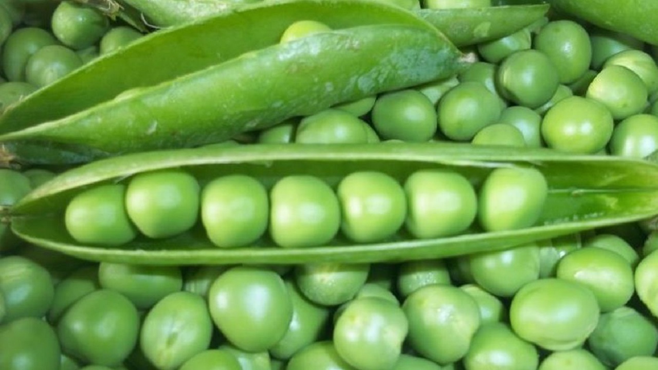 Huerta en casa