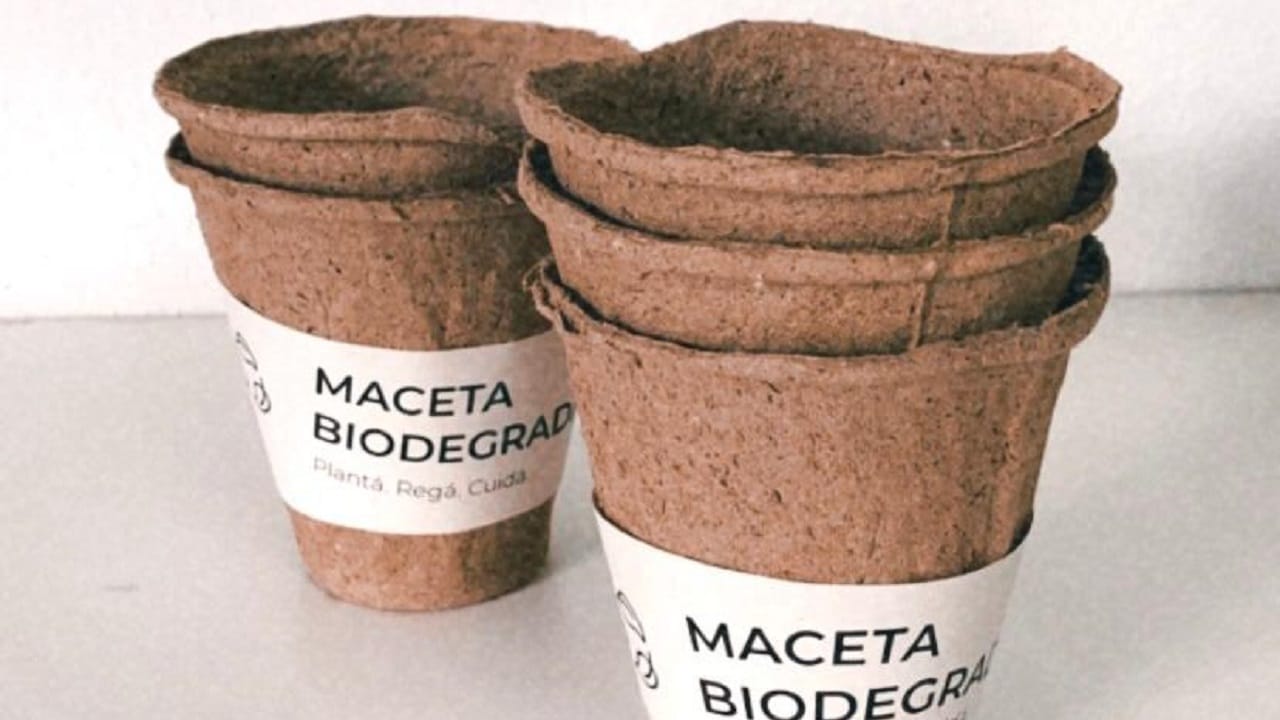 Un eco emprendimiento