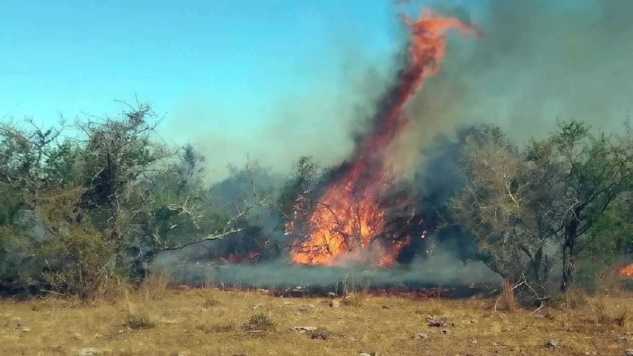 Hurlingham: Bomberos viajaron