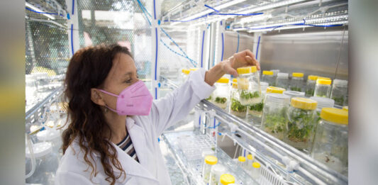 Gran inversión en la UNAHUR