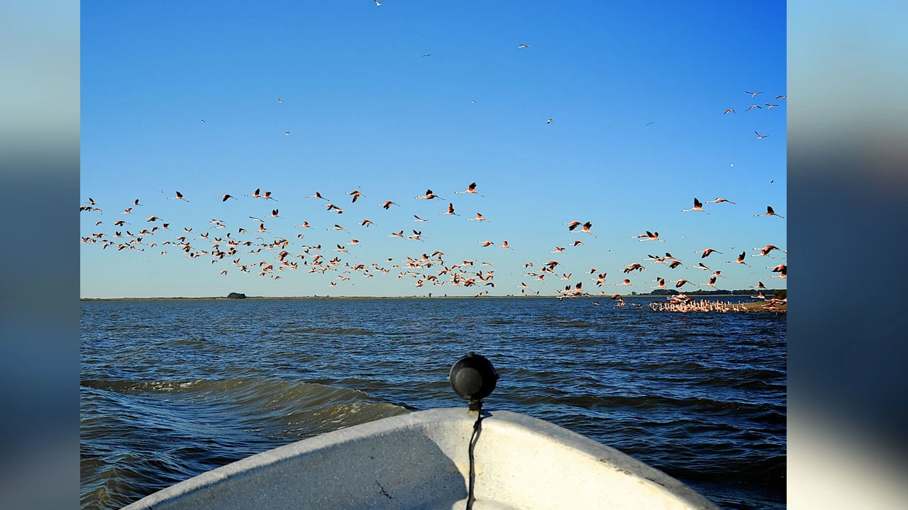 Laguna-de-Chascomus