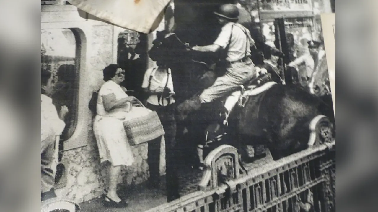 Murió-Hebe-de-Bonafini