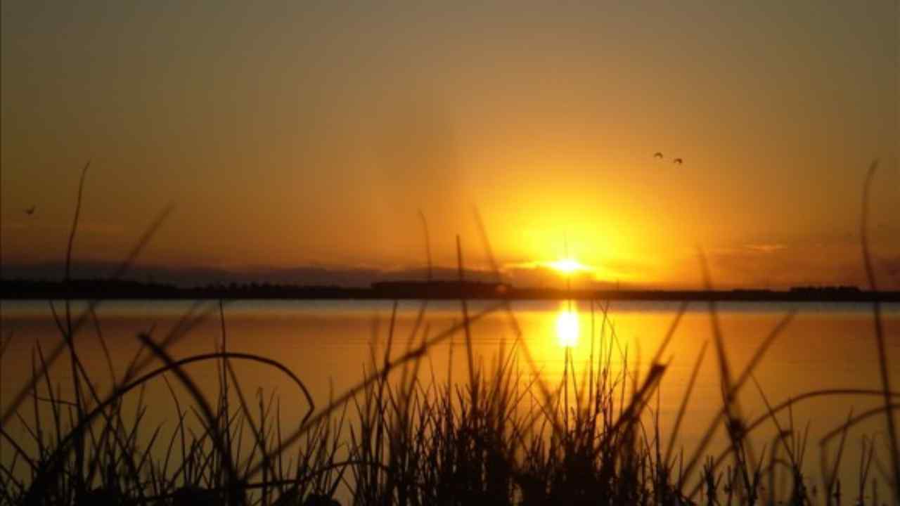 Lagunas en Dorrego
