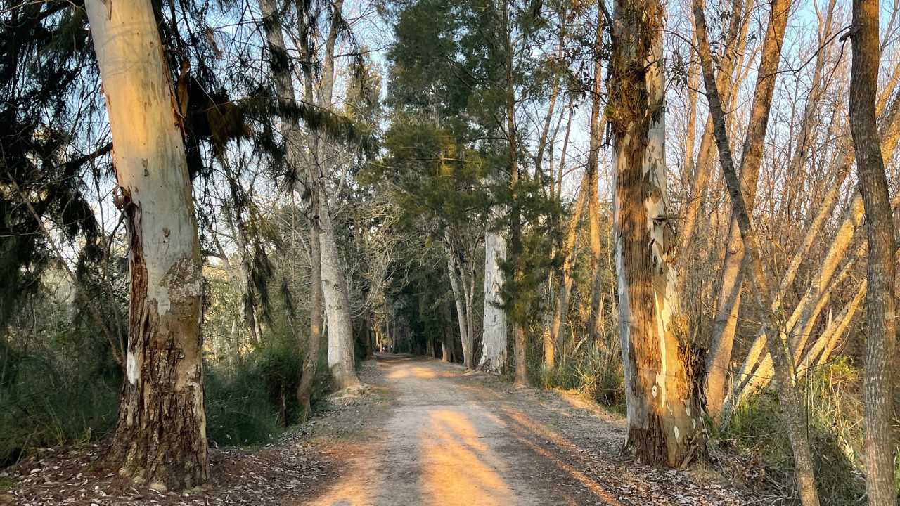 Reserva Natural Puertos