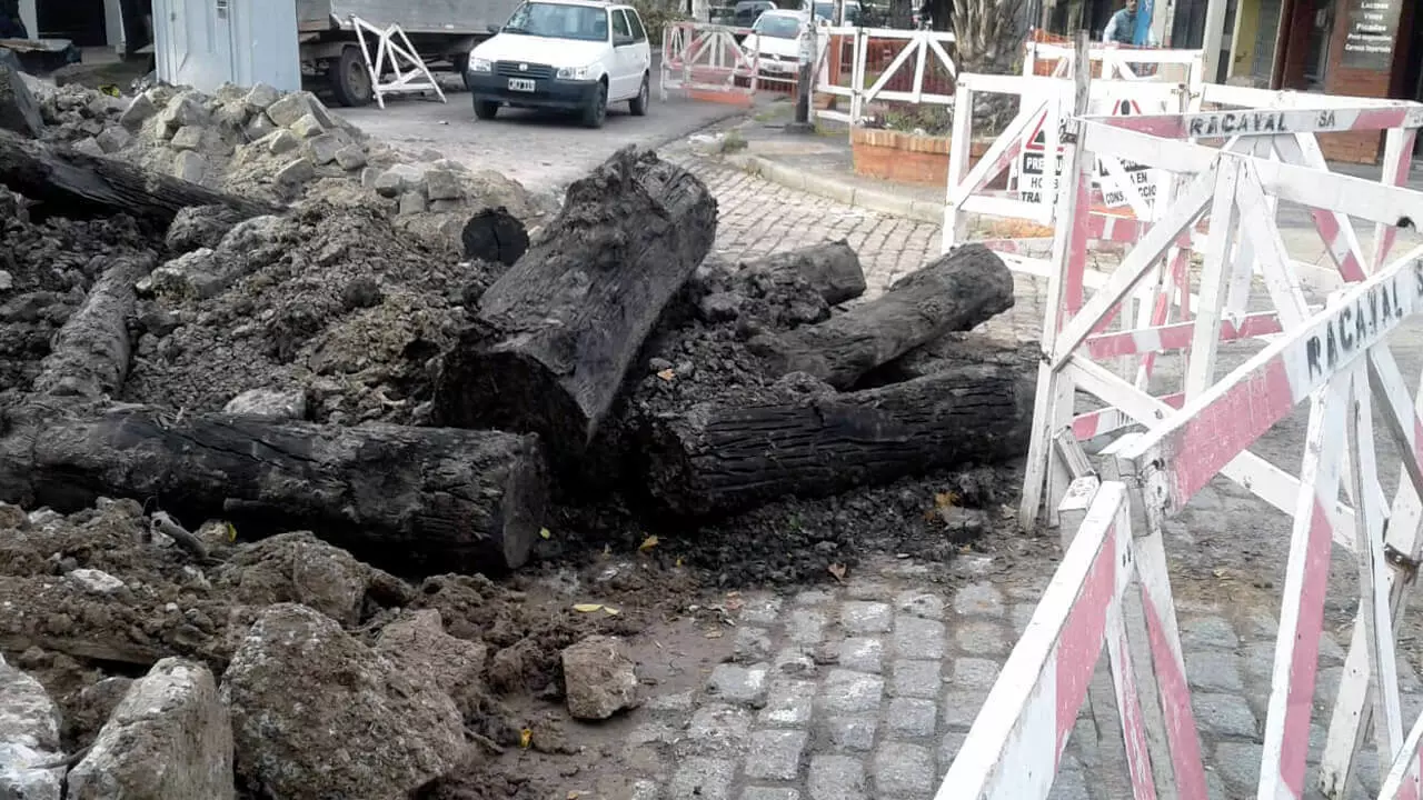 Adoquines y troncos a plena luz del día