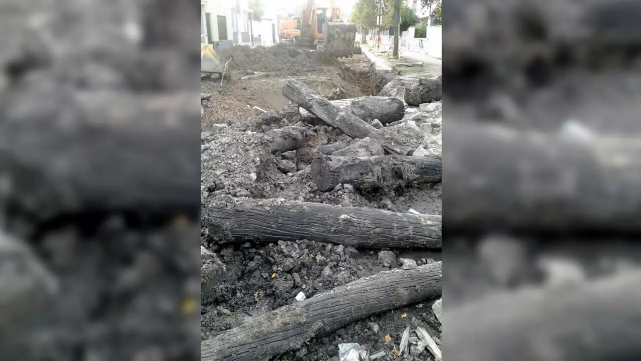 Los troncos que supuestamente conformaron el puente a plena luz del día