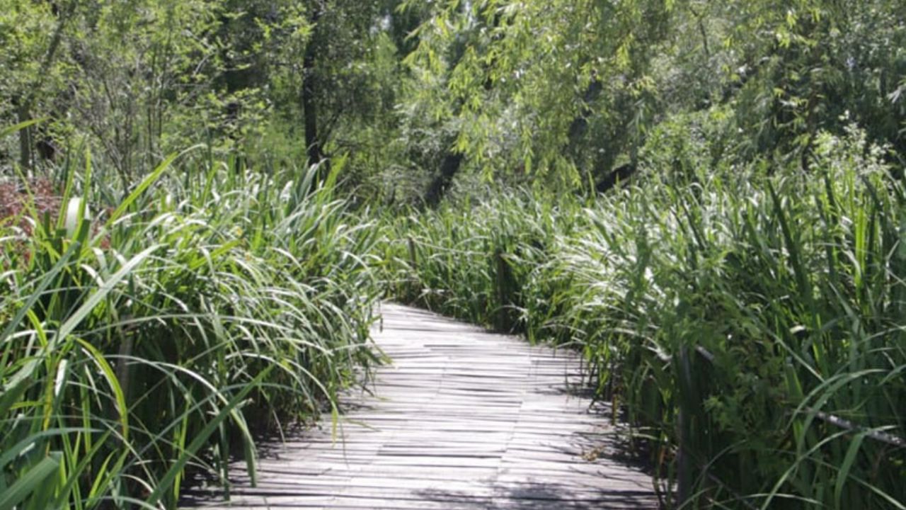 Reservas naturales en