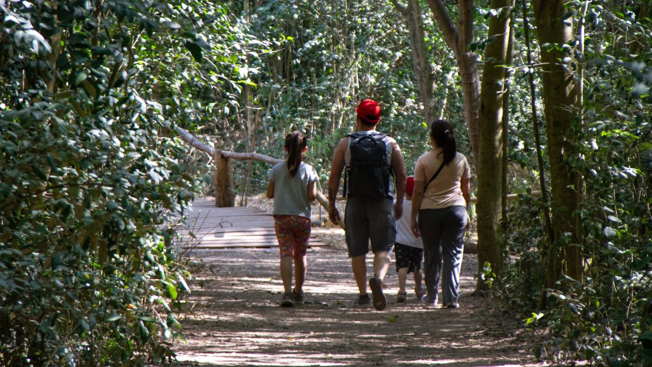 Reservas naturales en