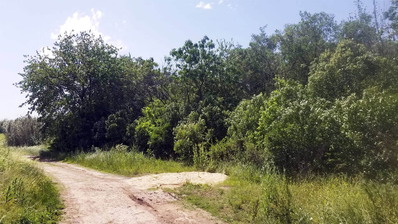 La Reserva Natural Urbana de El Palomar es un lugar magnífico para caminar