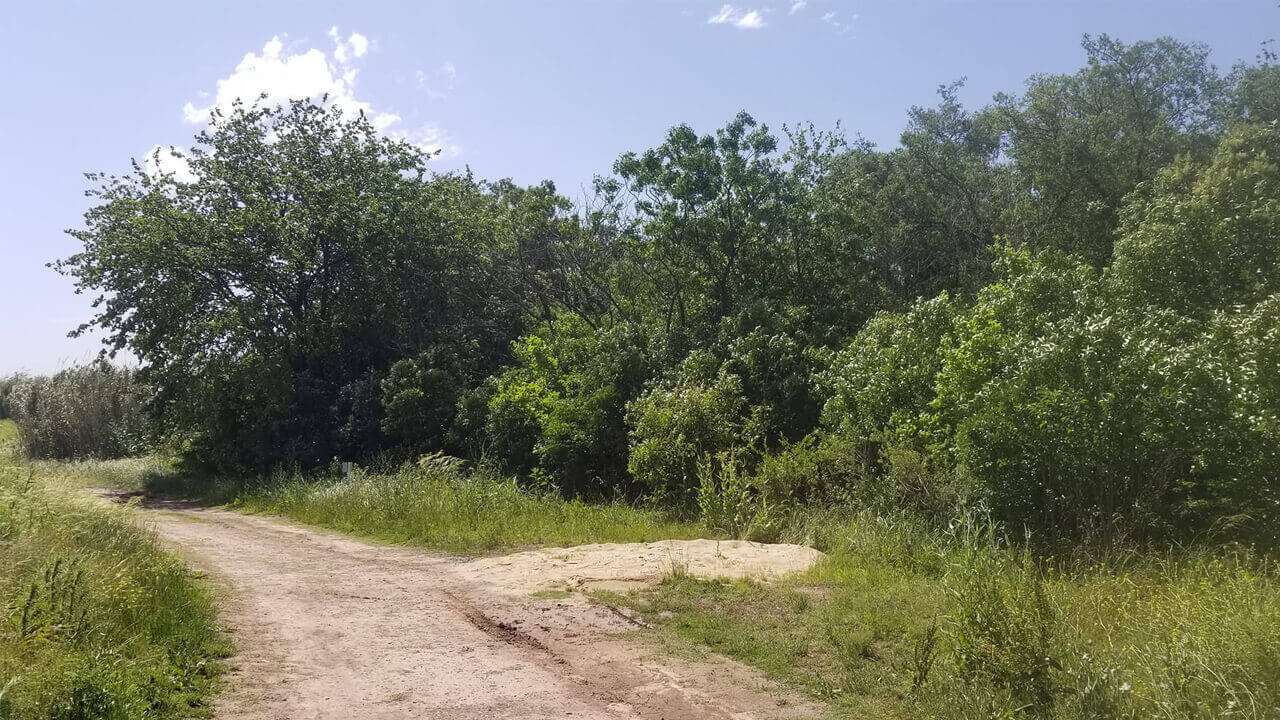 La Reserva Natural Urbana de El Palomar, un lugar para visitar y recorrer