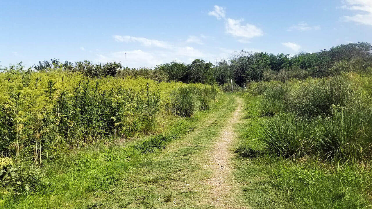 Otro circuito de la Reserva Natural Urbana de El Palomar