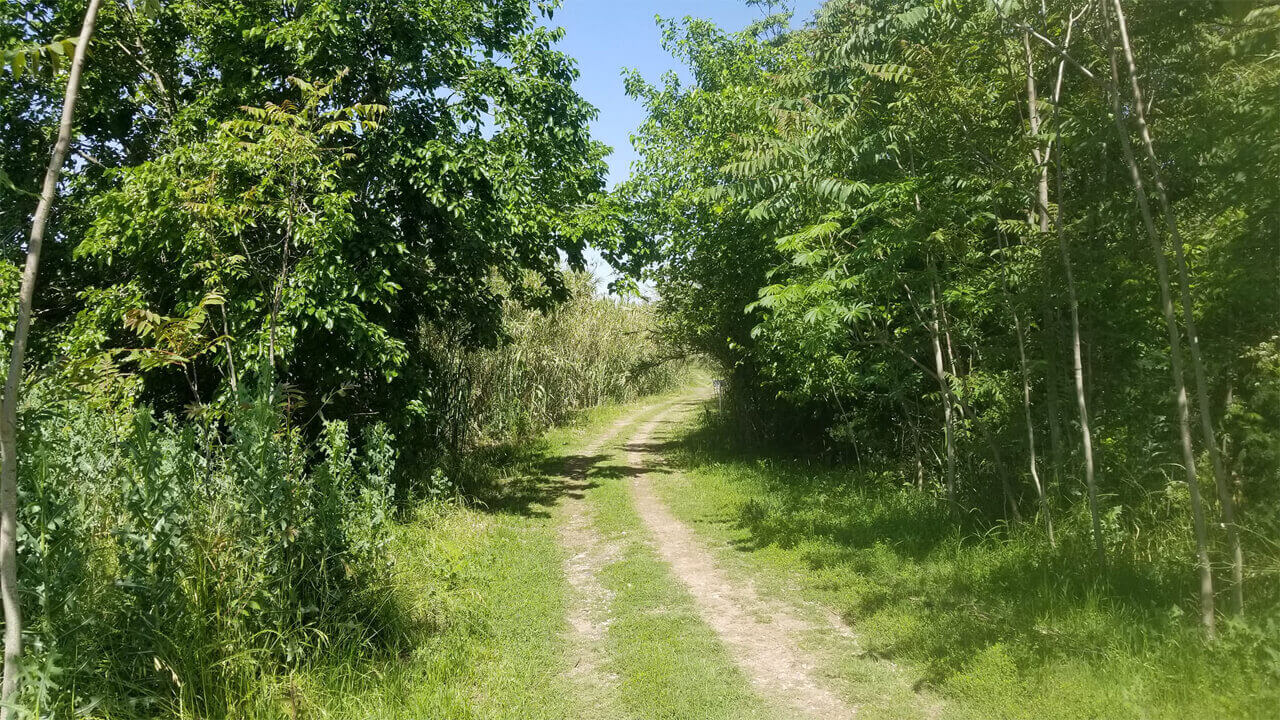 Uno de los pasajes hermoso en verde de la Reserva Natural Urbana de El Palomar