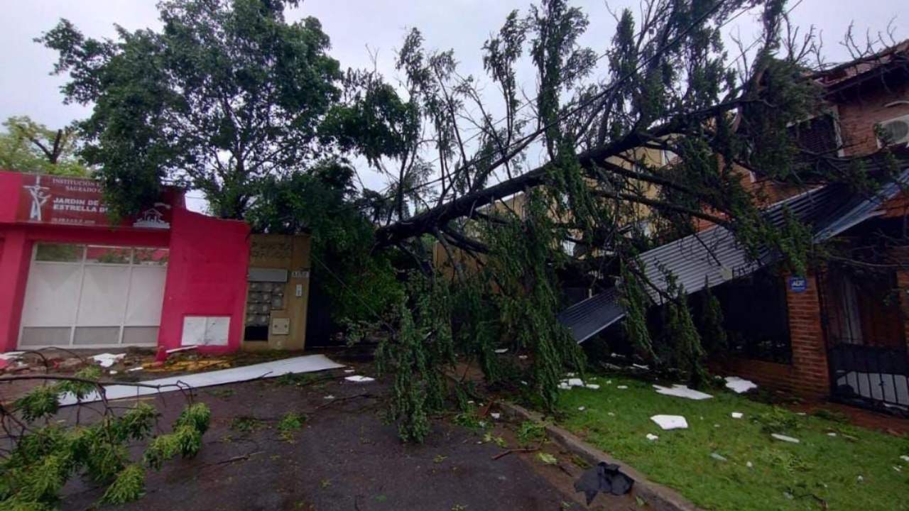 Destrozos del temporal
