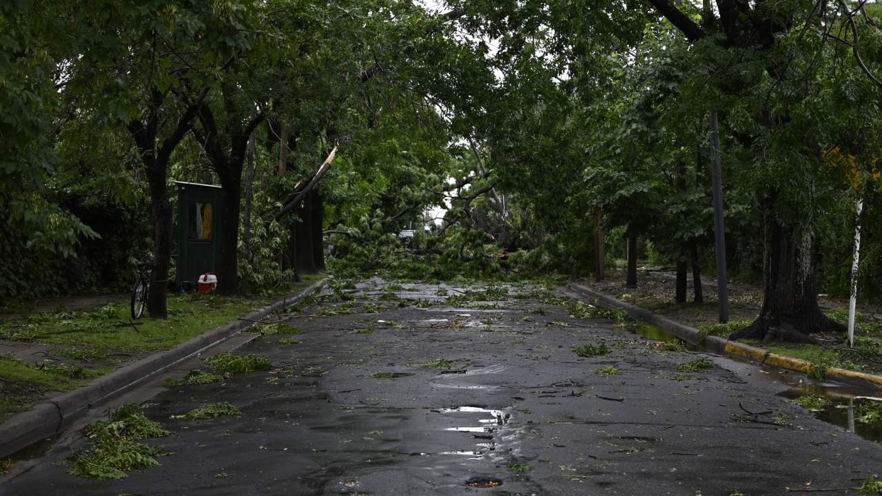 Destrozos del temporal