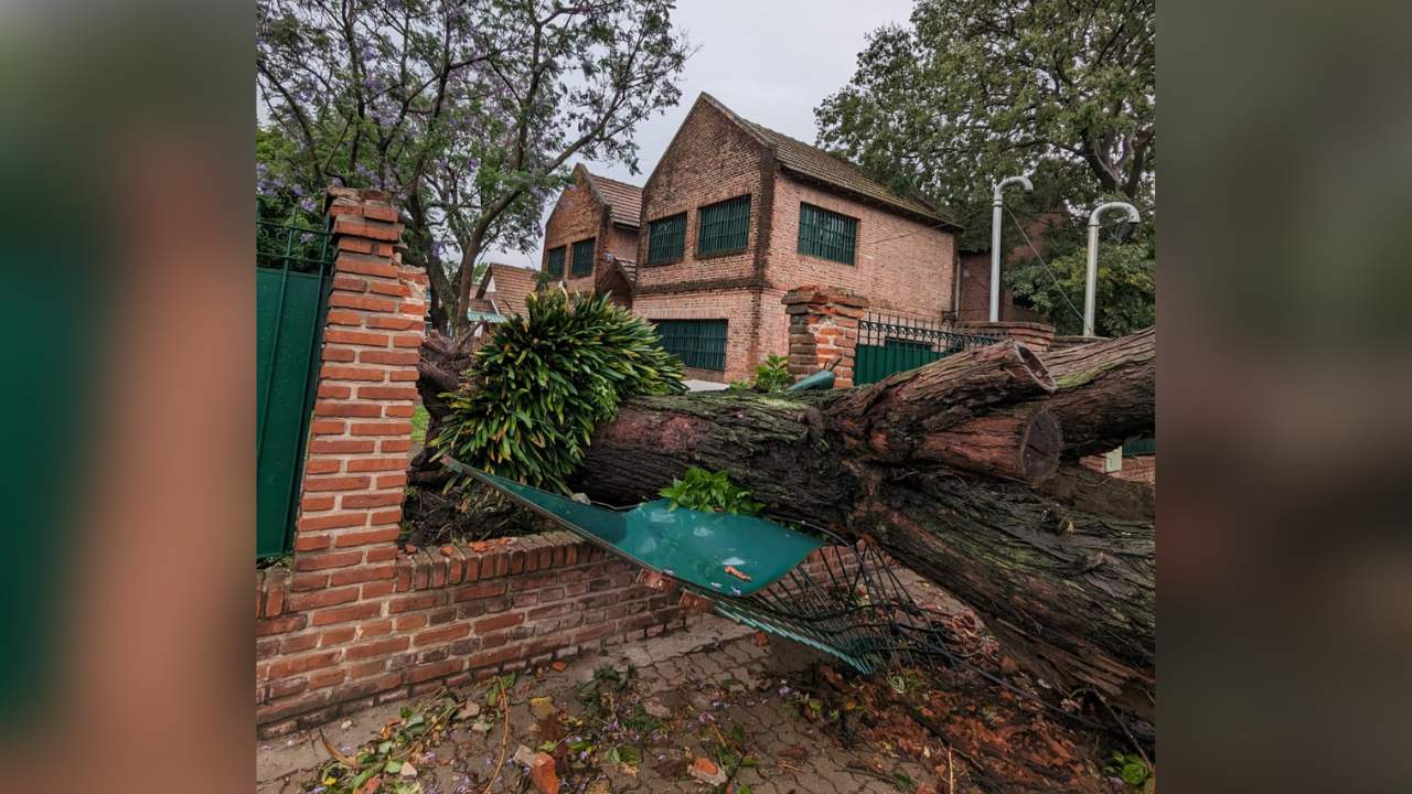 Destrozos del temporal