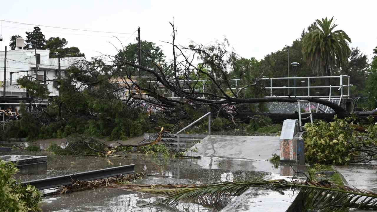 Destrozos del temporal
