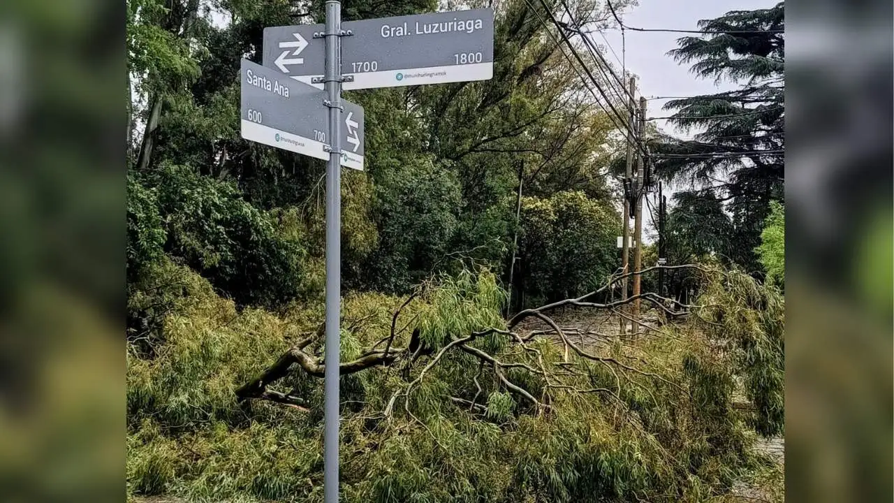 Destrozos del temporal