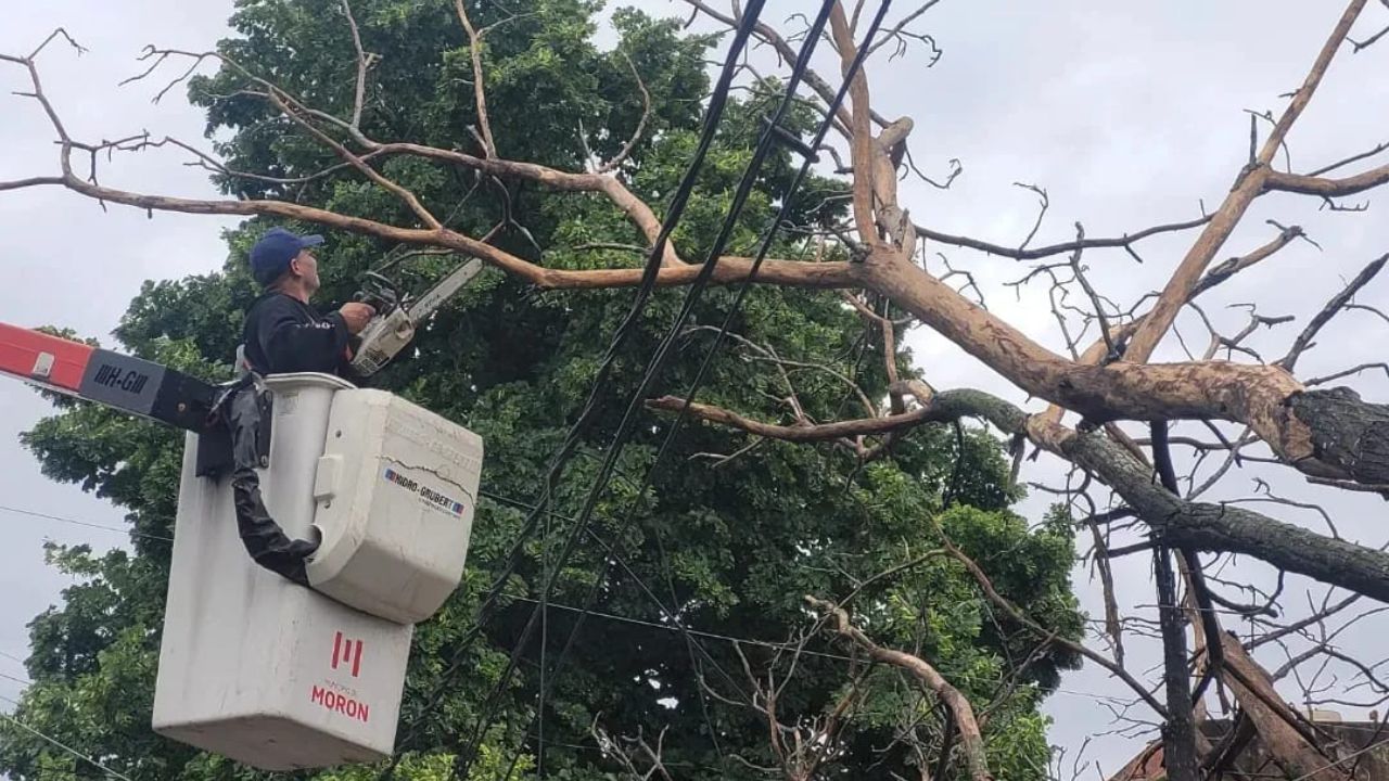 Fotos del temporal