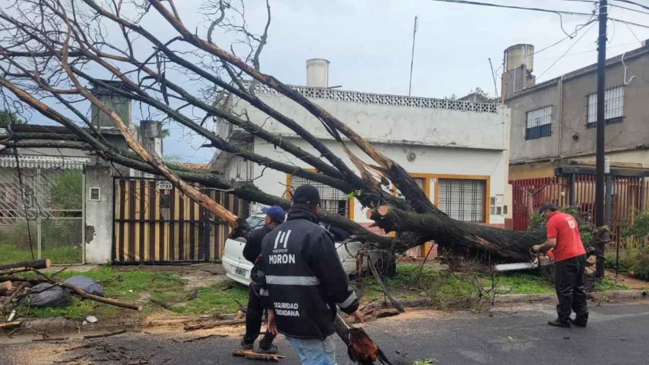 Fotos del temporal