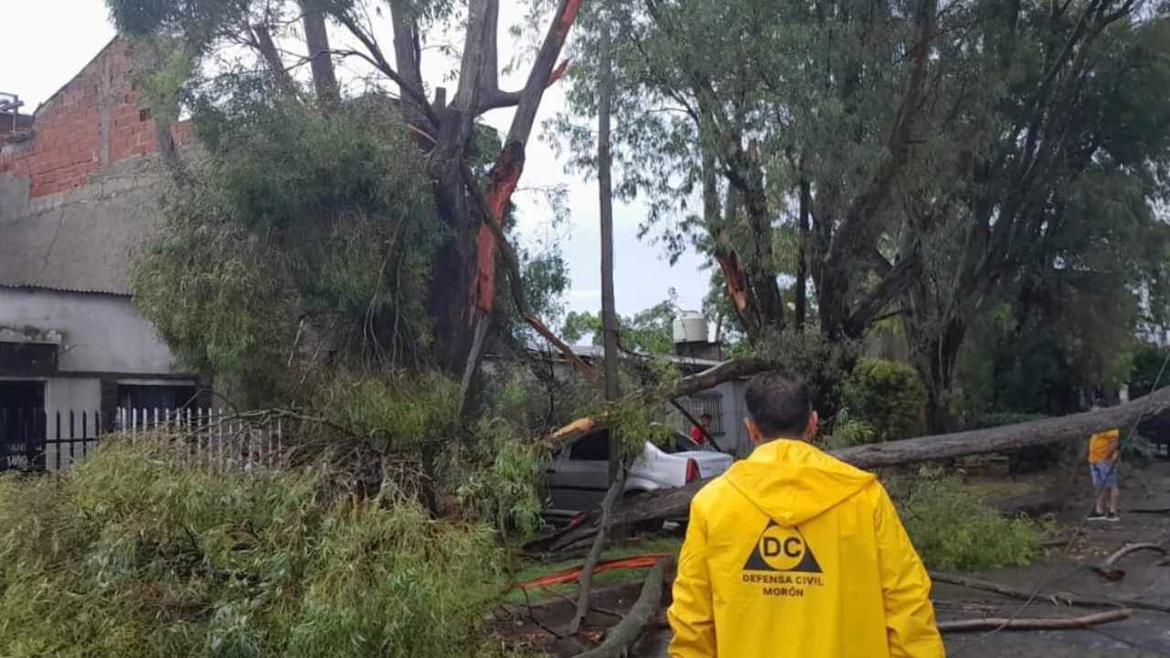 Fotos del temporal