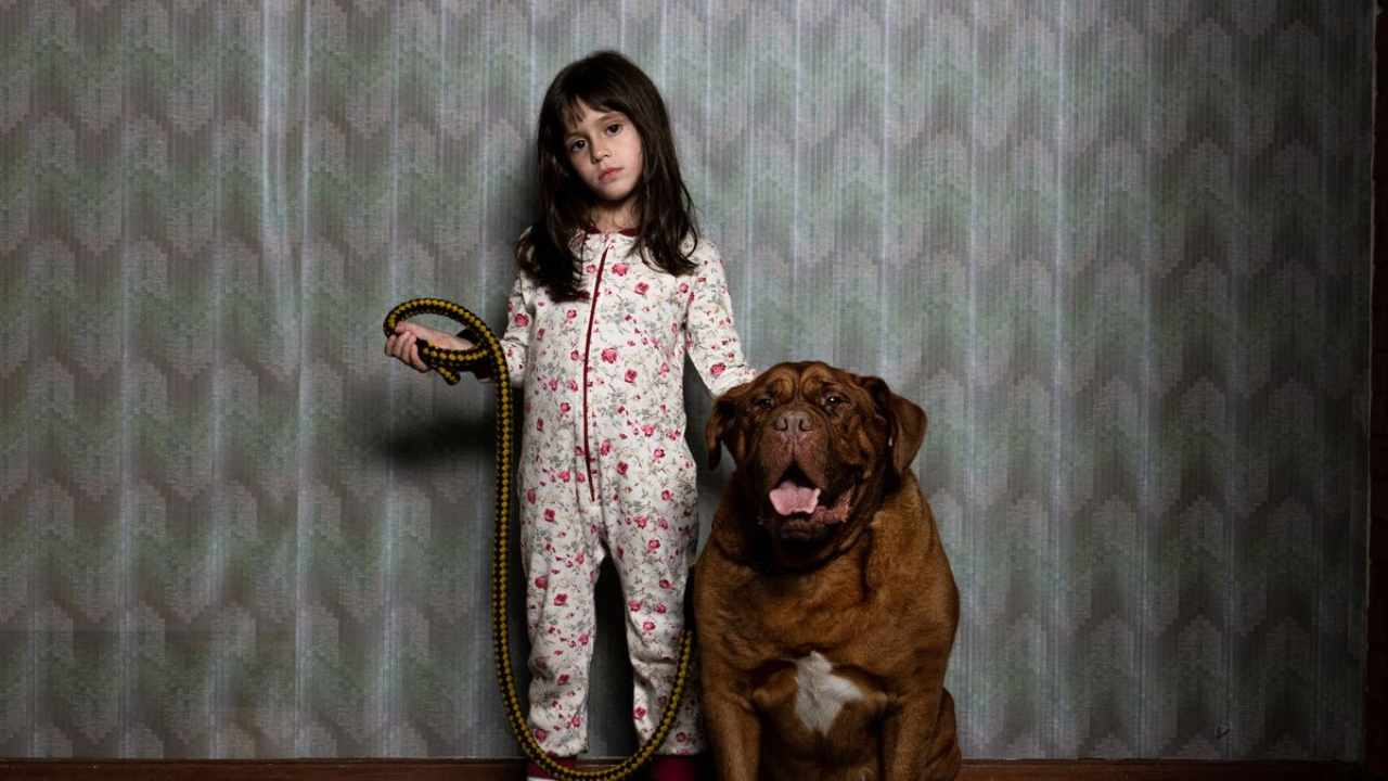 Cine de terror