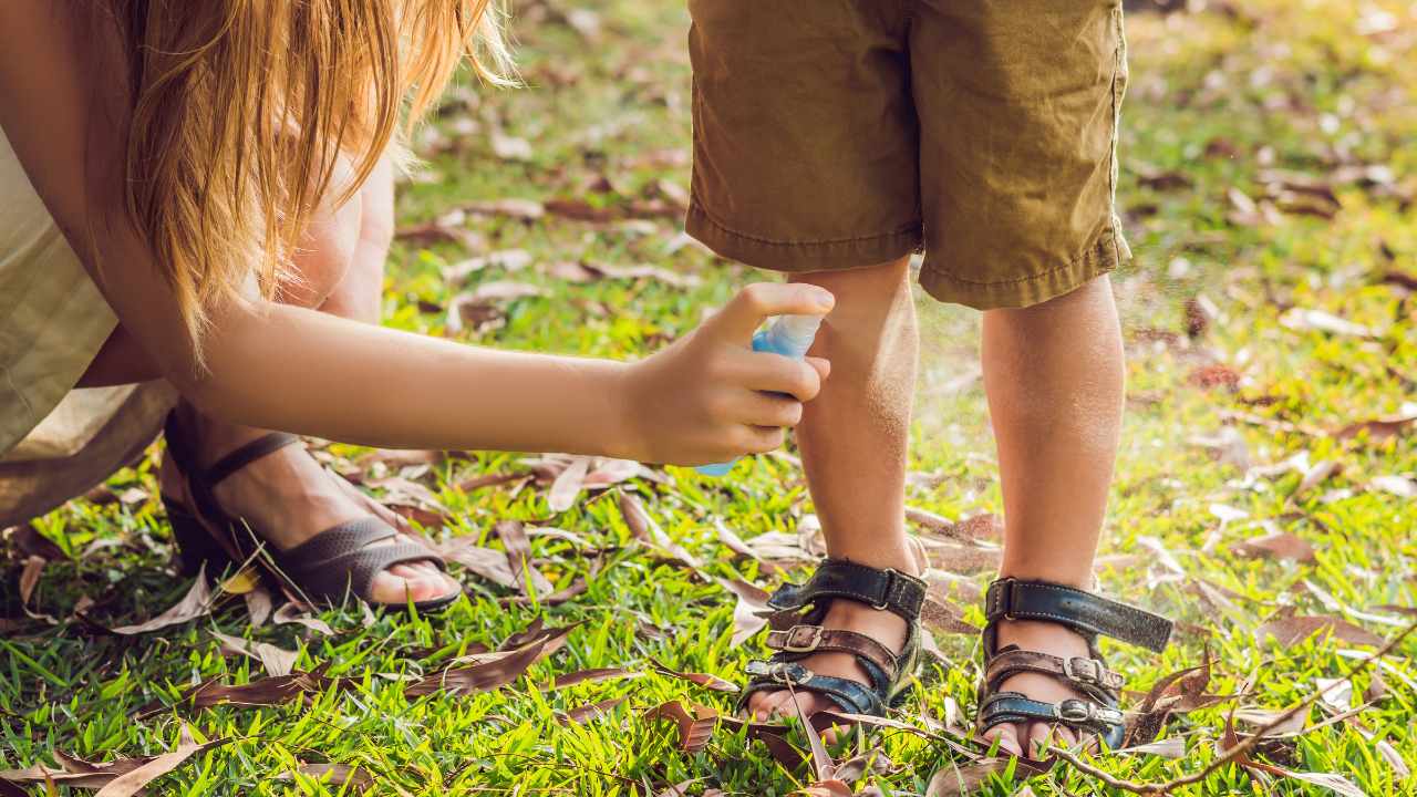 Descuentos en repelentes