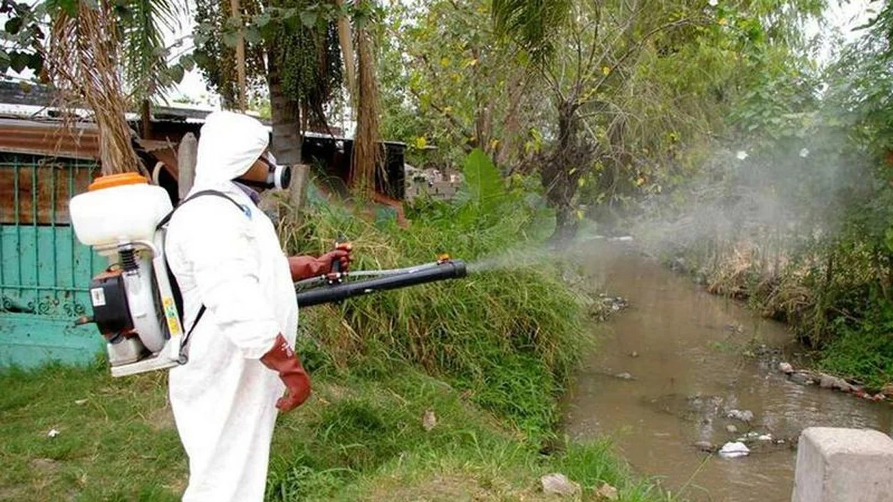 Los-casos-de-dengue-aumentaron-un-2.546_-con-respecto-a-2023