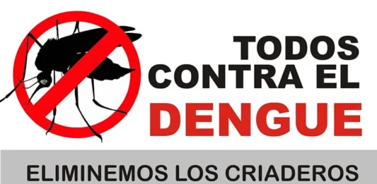 Qué-pasa-si-tenés-dengue-y-te-bajan-las-plaquetas
