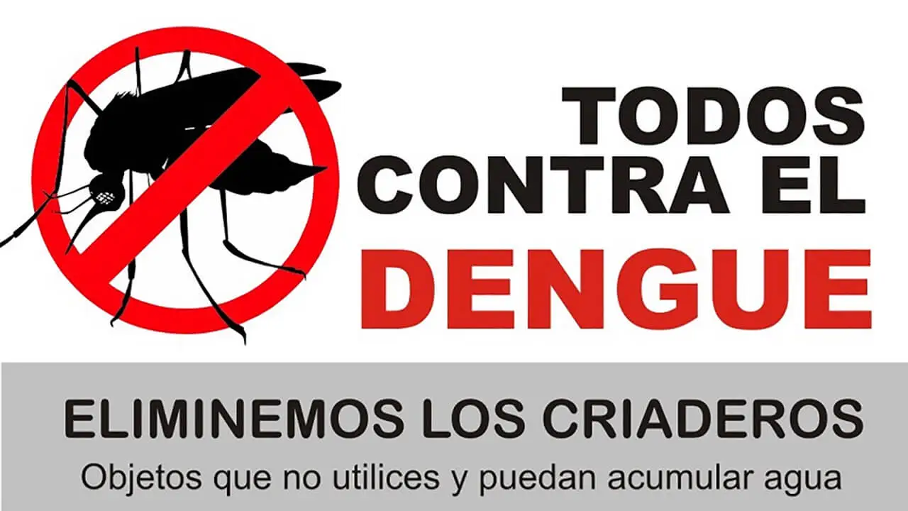 Qué-pasa-si-tenés-dengue-y-te-bajan-las-plaquetas