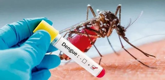 Récord-de-casos-de-Dengue_-más-fallecidos_-guardias-colapsadas-y-faltante-de-repelentes