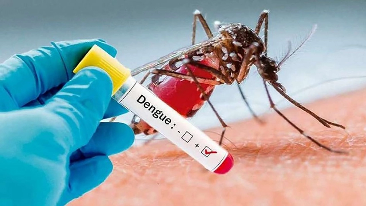 Récord-de-casos-de-Dengue_-más-fallecidos_-guardias-colapsadas-y-faltante-de-repelentes