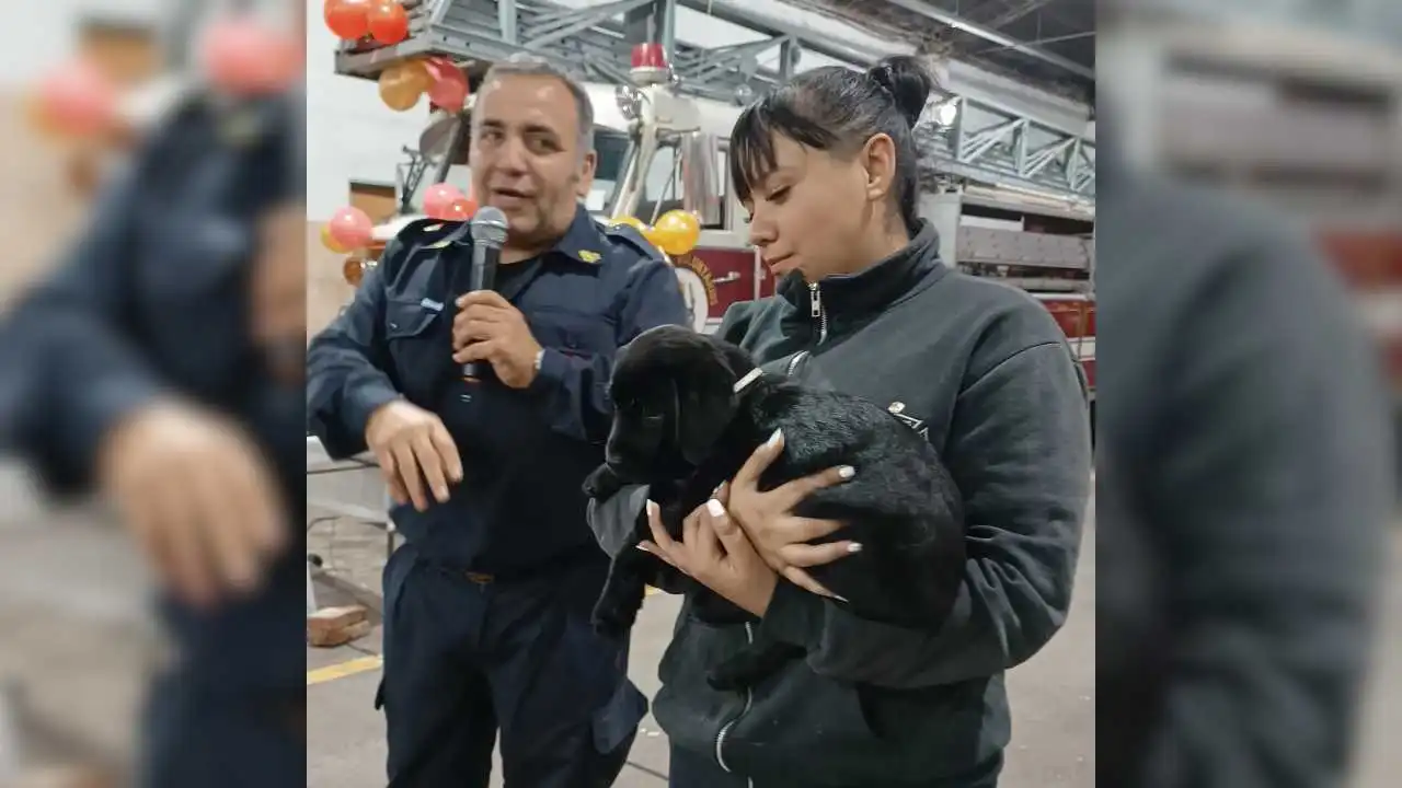 Los Bomberos de Hurlingham