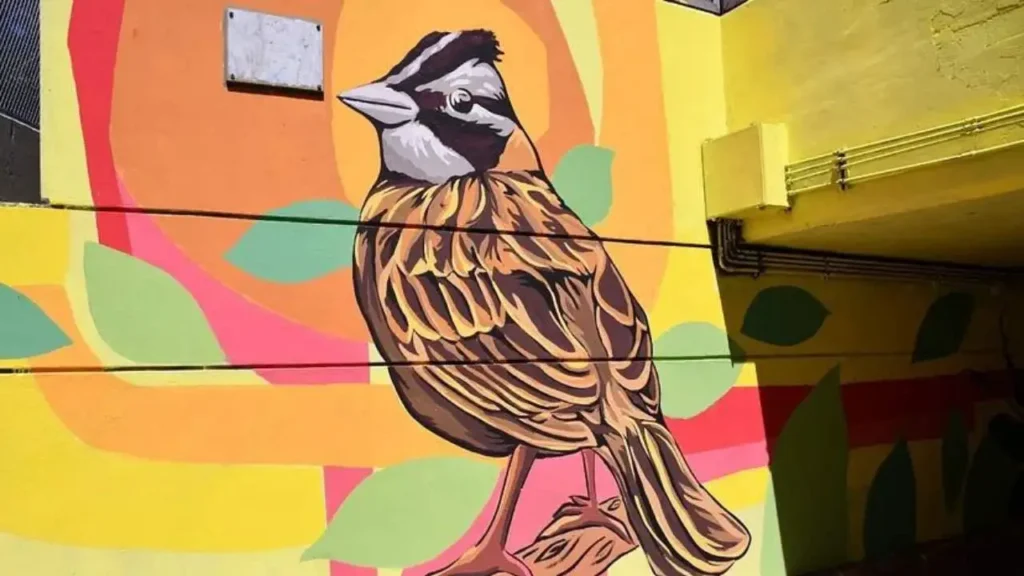 Los murales visten