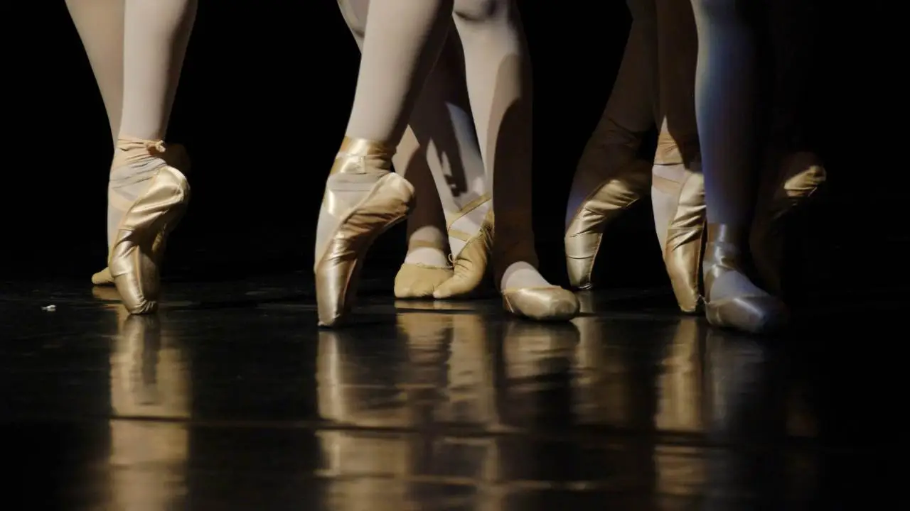 Semana de la danza