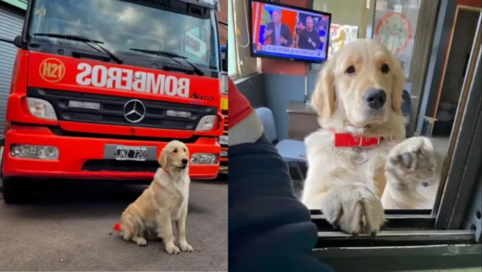 Bomberos de Hurlingham