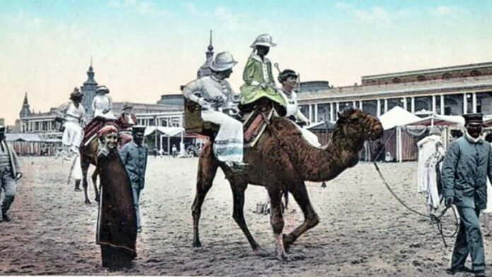 Los Camellos en Mar del Plata