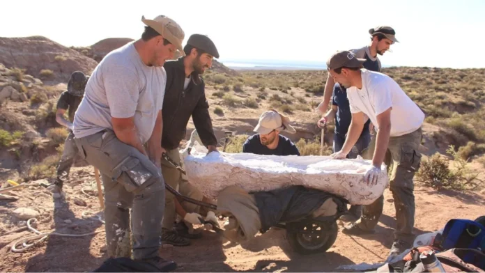 streaming-del-conicet