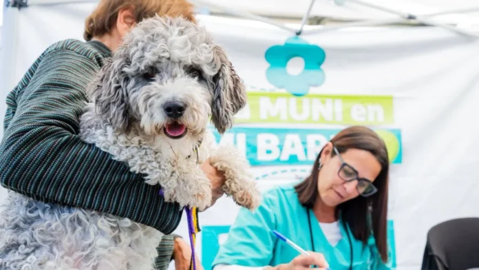 Muni-en-Mi-Barrio Muni en mi barrio