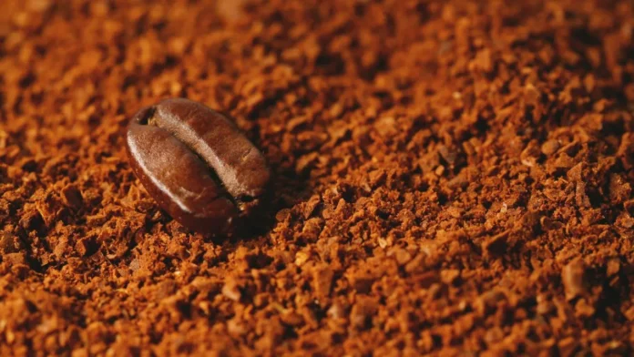 siete marcas de café