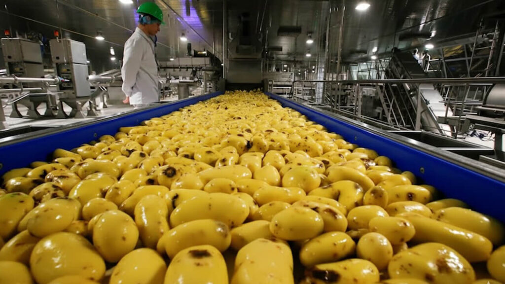 Lamb Weston cierra su planta de Caseros, Tres de Febrero, para mudarse a Mar del Plata. Cien despidos.