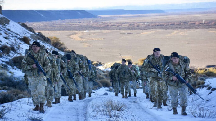 Las FFAA bajo Milei Bajas y decesos