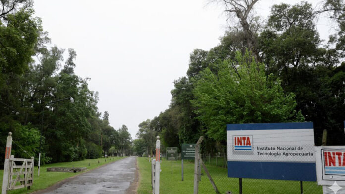 Morón y Castelar 2026 Entre la ciudad y ciencia