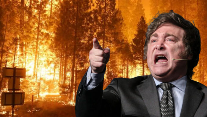 Motosierra y cenizas Milei calcina la Patagonia