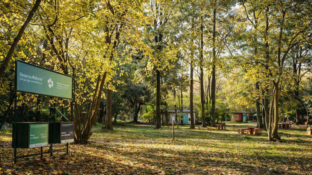 Para espíritus más tranquilos y diurnos, la Reserva Natural Urbana es la mejor opción