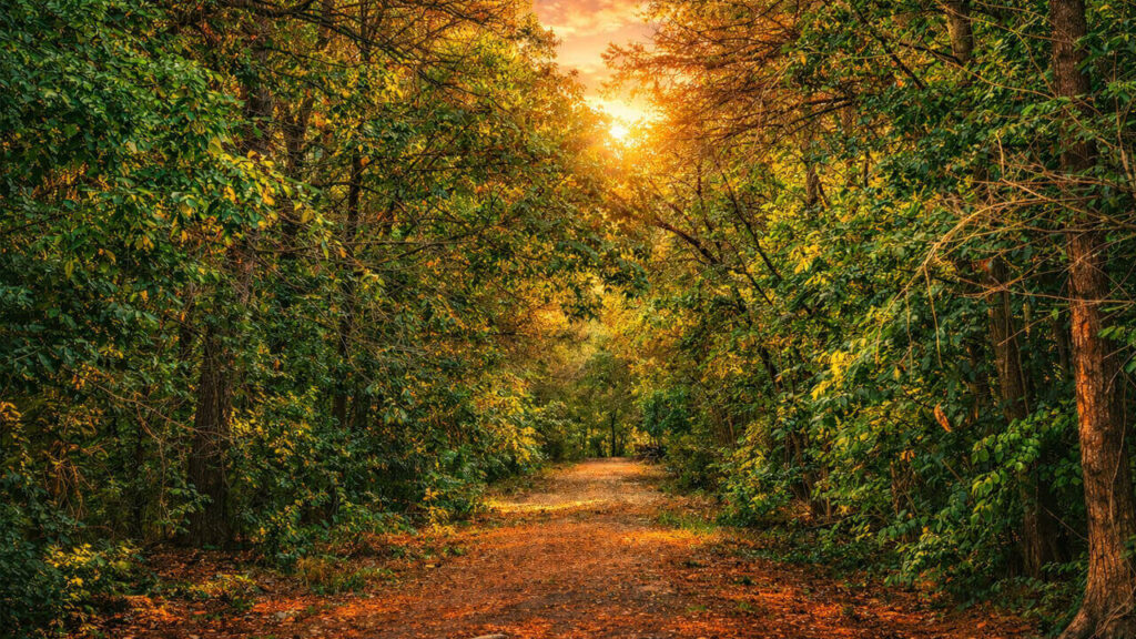 “Desentierro del Carnaval”, ceremonia simbólica que marca el inicio de los festejos, con participación de la Orquesta Folklórica Popular y el Ballet de Danzas Andinas del Municipio.