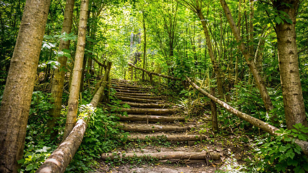La Reserrva Natural Urbana de Ituzaingó dónde se podrán ver se cerca a la murgas