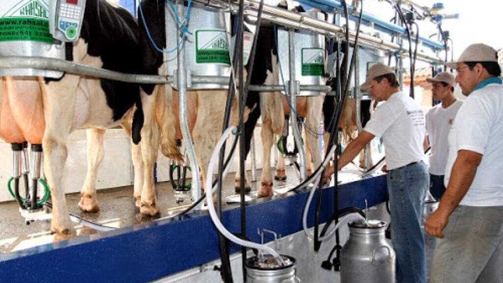 Planta de industria láctea o línea de envasado